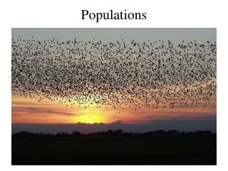 Populations