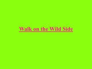 Walk on the Wild Side