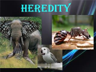 Heredity