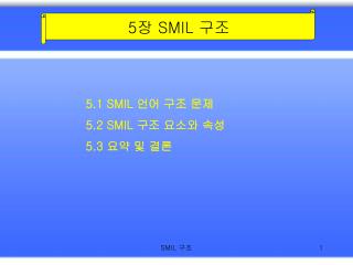 5 장 SMIL 구조