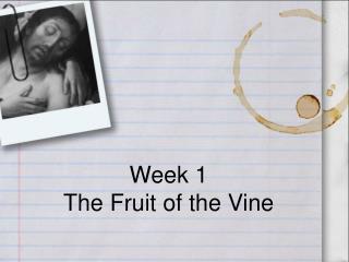 Week 1 The Fruit of the Vine