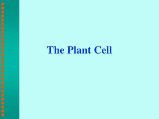 The Plant Cell