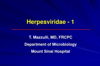 Herpesviridae - 1