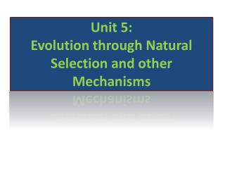 Unit 5: Evolution through Natural Selection and other Mechanisms