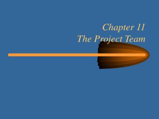 Chapter 11 The Project Team