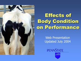 Effects of Body Condition on Performance