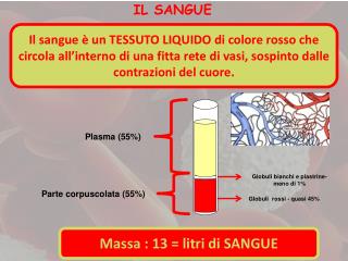 Globuli bianchi e piastrine- meno di 1 %