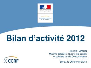 Bilan d’activité 2012