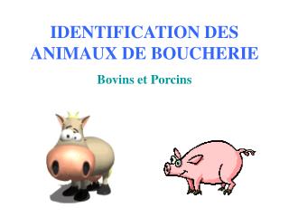 IDENTIFICATION DES ANIMAUX DE BOUCHERIE