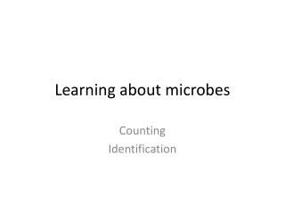 Learning about microbes