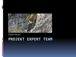 Projekt EXPERT TEAM