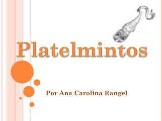 Por Ana Carolina Rangel