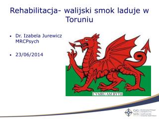 Rehabilitacja- walijski smok laduje w Toruniu
