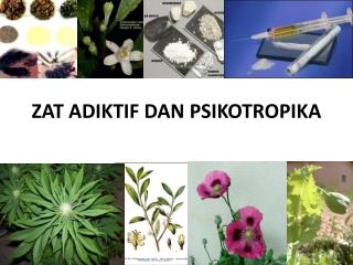 ZAT ADIKTIF DAN PSIKOTROPIKA