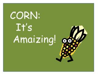 CORN: It’s Amaizing!