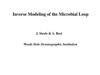 Inverse Modeling of the Microbial Loop