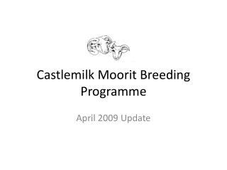 Castlemilk Moorit Breeding Programme