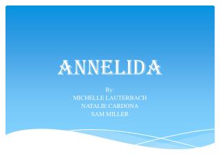 Annelida