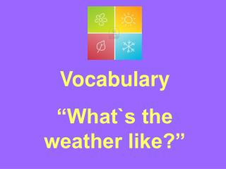 Vocabulary “What`s the weather like?”