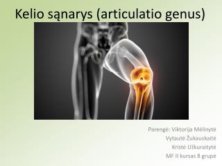 Ppt Kelio Sanarys Articulatio Genus Powerpoint Presentation Free Download Id 6534639