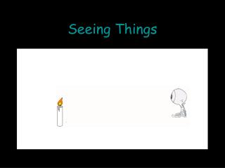 Seeing Things