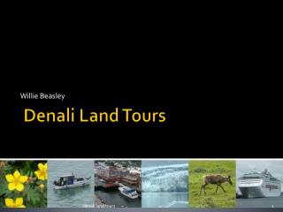 Denali Land Tours