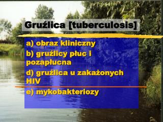 Gruźlica [tuberculosis]