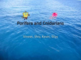 Porifera and Cnidarians