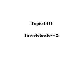 Topic 14B Invertebrates - 2