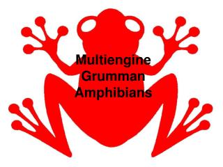 Multiengine Grumman Amphibians