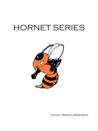 HORNET SERIES