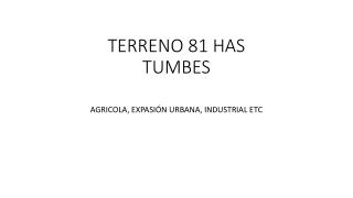 TERRENO 81 HAS TUMBES