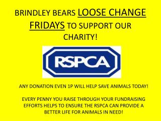 BRINDLEY BEARS LOOSE CHANGE FRIDAYS TO SUPPORT OUR CHARITY!