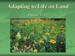 Adapting to Life on Land