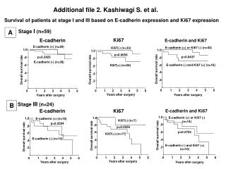 Additional file 2. Kashiwagi S. et al.