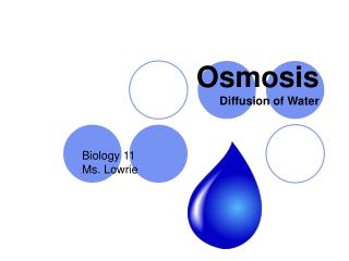 Osmosis Diffusion of Water