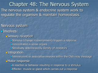 Chapter 48: The Nervous System
