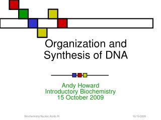 Organization and Synthesis of DNA