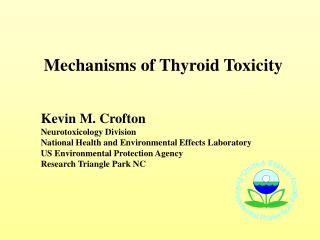 Mechanisms of Thyroid Toxicity