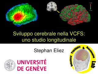 Sviluppo cerebrale nella VCFS: uno studio longitudinale