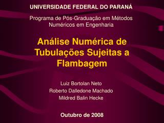Análise Numérica de Tubulações Sujeitas a Flambagem
