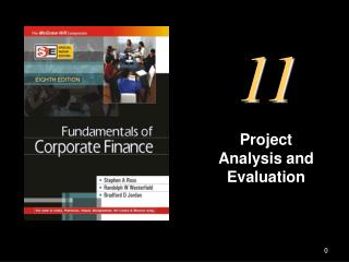 Project Analysis and Evaluation