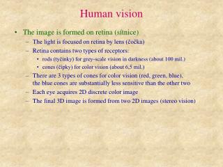 Human vision