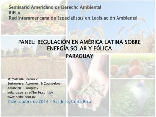 PANEL: REGULACIÓN EN AMÉRICA LATINA SOBRE ENERGÍA SOLAR Y EÓLICA PARAGUAY M. Yolanda Pereira Z.