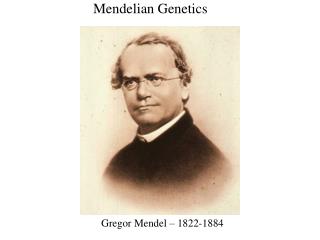 Gregor Mendel – 1822-1884