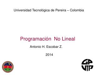 Programación No Lineal