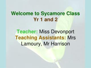 Sycamore Class Topic ‘All About Me’