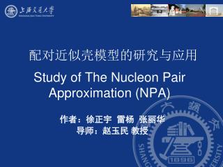 Study of The Nucleon Pair Approximation (NPA)