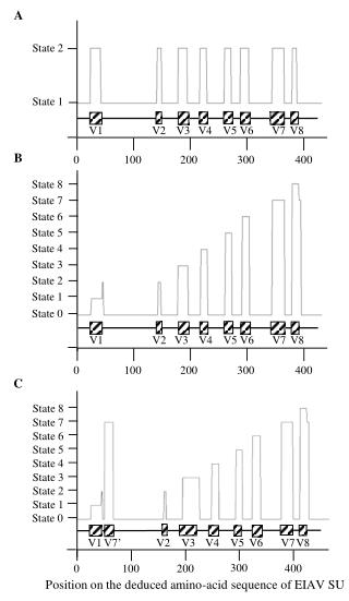 Position on the deduced amino-acid sequence of EIAV SU