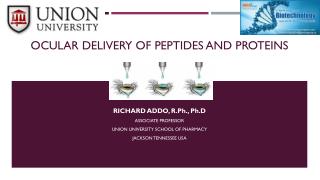 Ocular Delivery of peptides and proteins